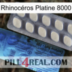 Rhinocéros Platine 8000 34